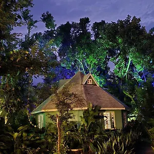 Bak A Yaad , Negril Jamaika